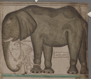 henry iii elephant